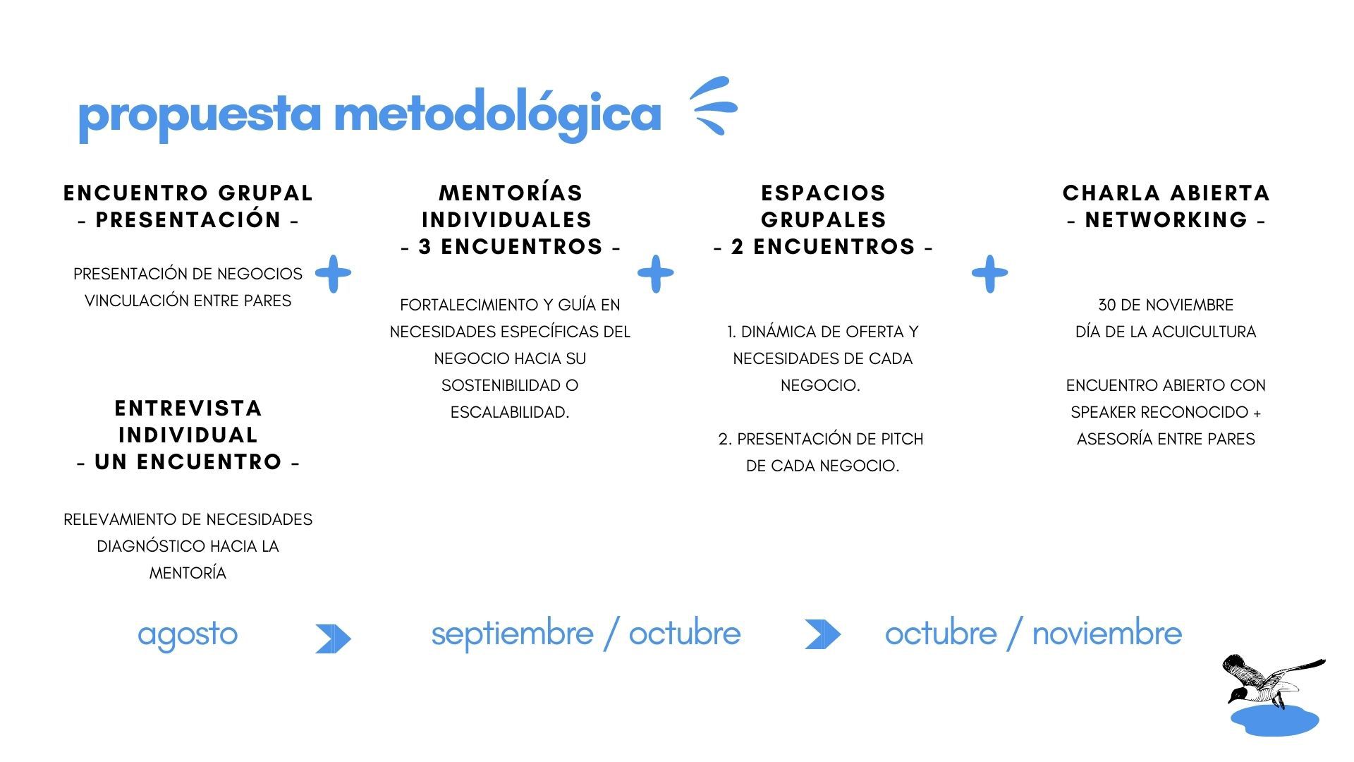 Odoo CMS - una imagen grande